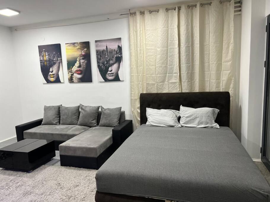 Appartement Dorcol Lux Studio à Belgrade Extérieur photo