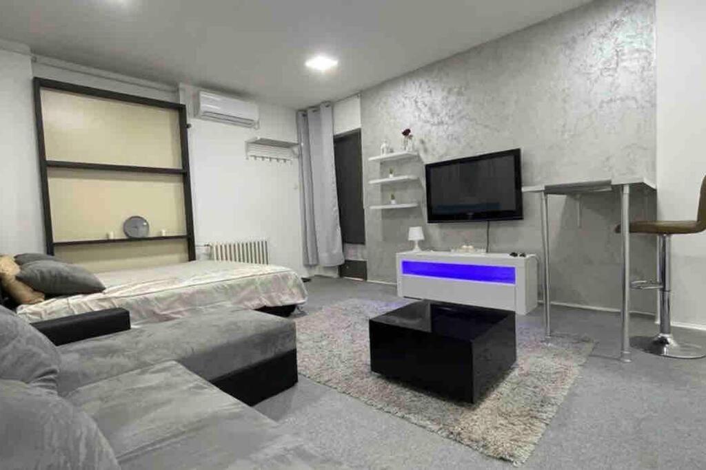 Appartement Dorcol Lux Studio à Belgrade Extérieur photo