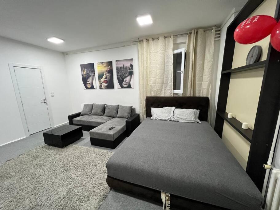 Appartement Dorcol Lux Studio à Belgrade Extérieur photo